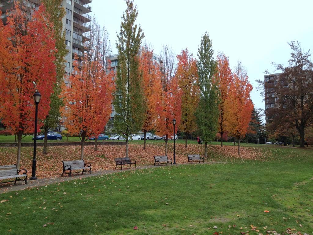 War Memorials & Remembrance