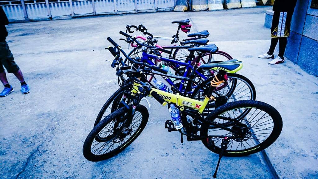 Family Bike Rentals