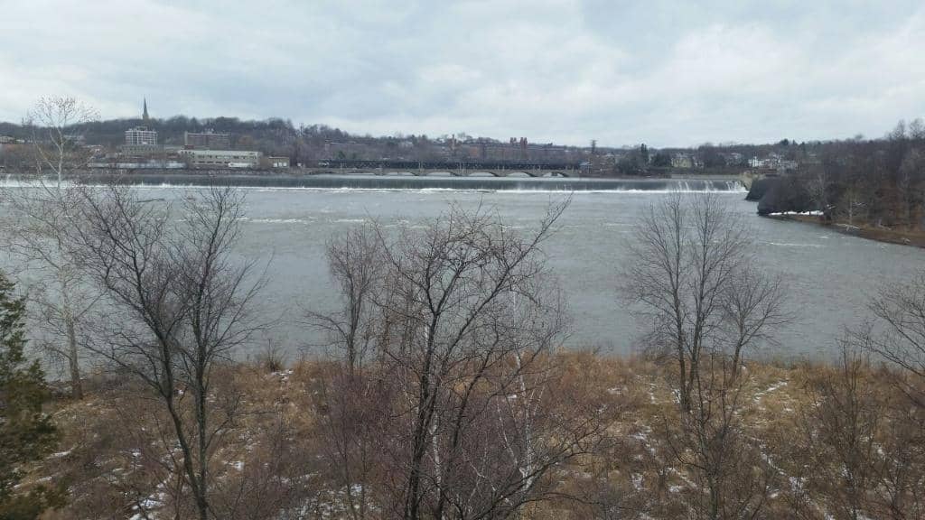 Wooded Hiking Trails