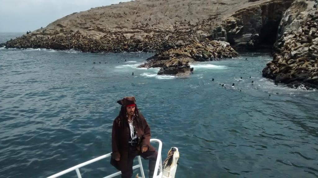 Abundant Marine Wildlife