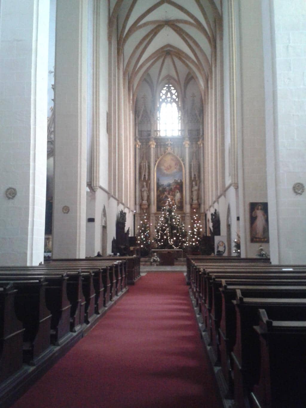 Traces of St. Napoleon