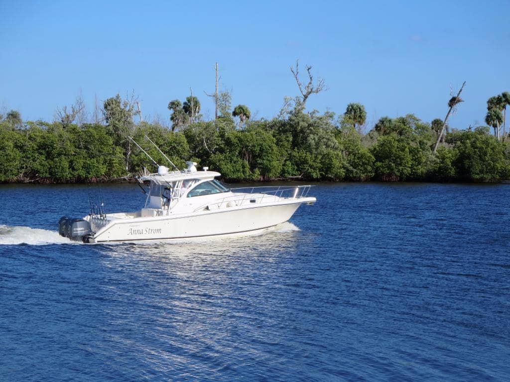 Wildlife Viewing Opportunities