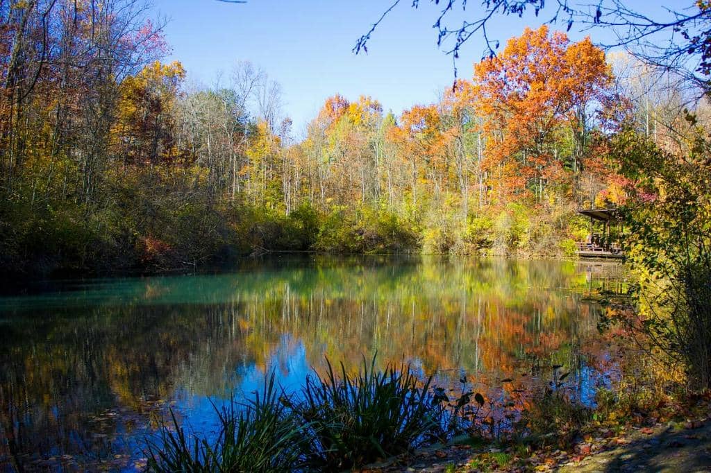 Rock & Herb Garden Oasis