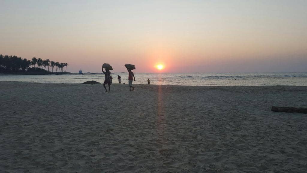 Tranquil Sunsets