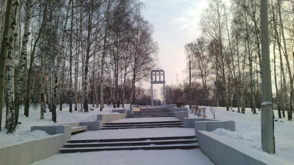 Vertical photo