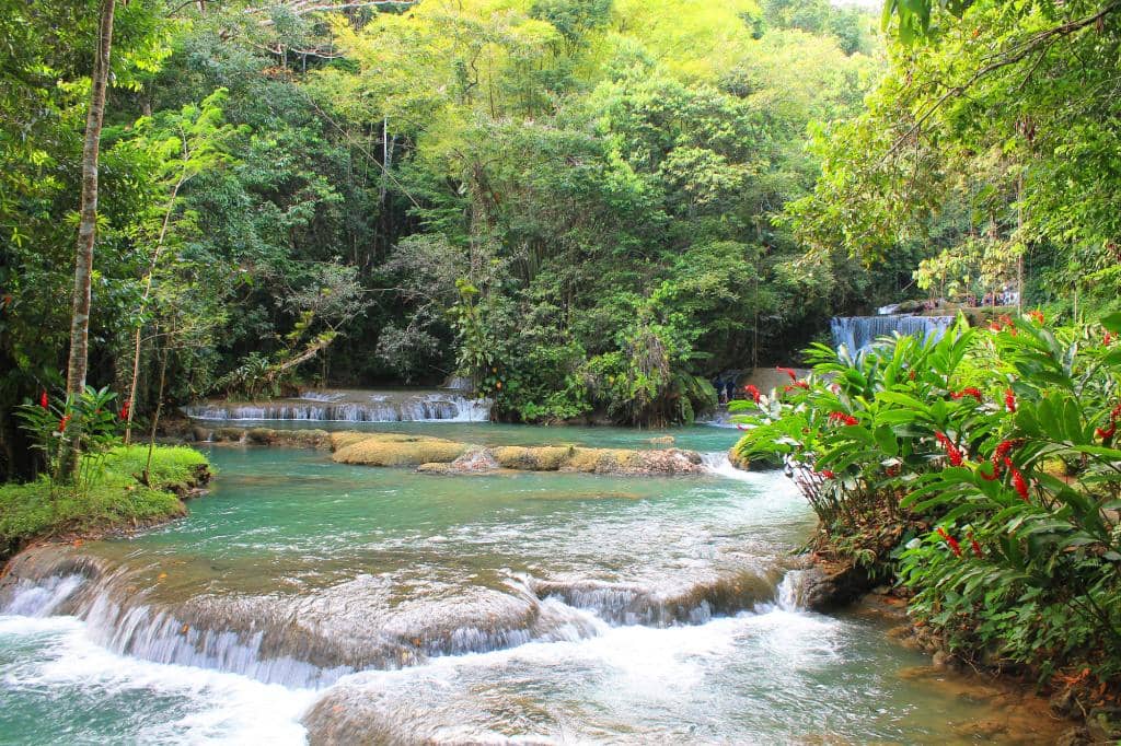 Lush Gardens and Parklands