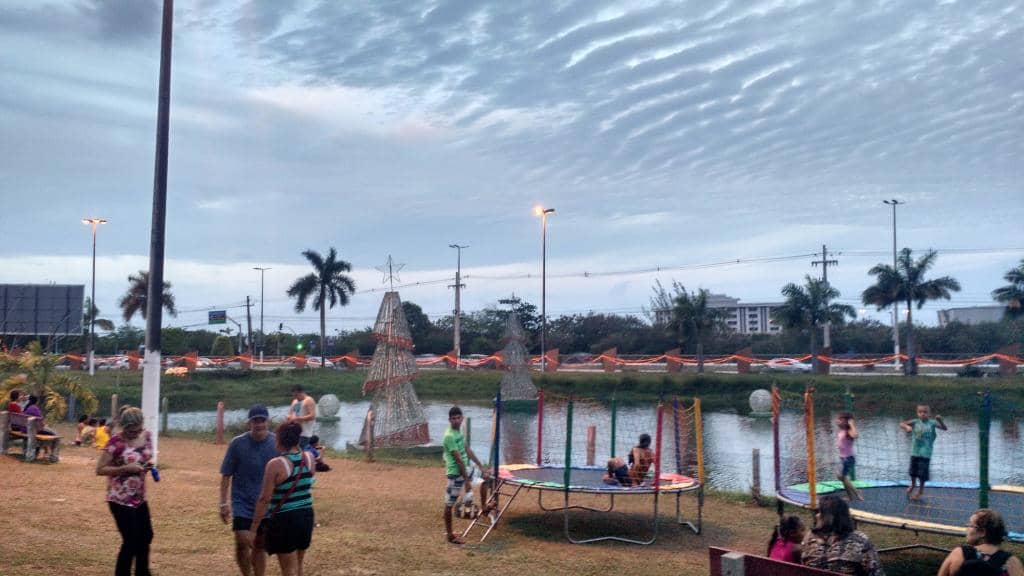 Vibrant Flower Gardens