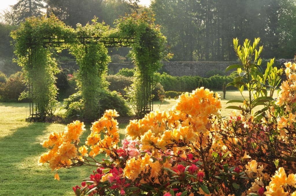 Thematic Gardens