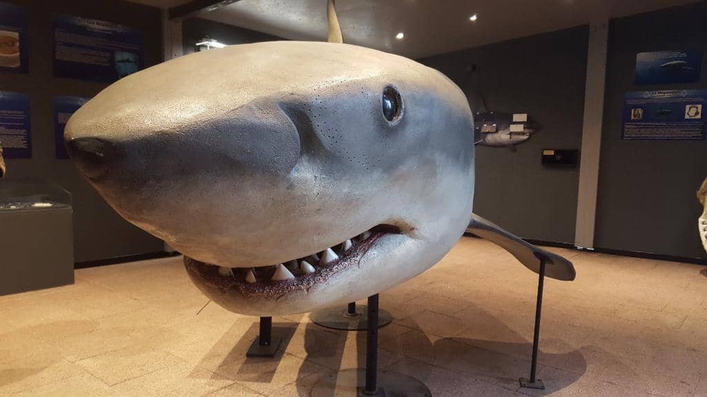 Outdoor Garden Play Area