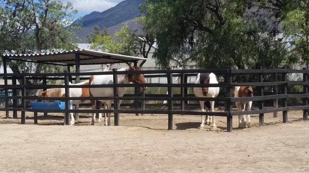 Scenic Ranch Landscapes