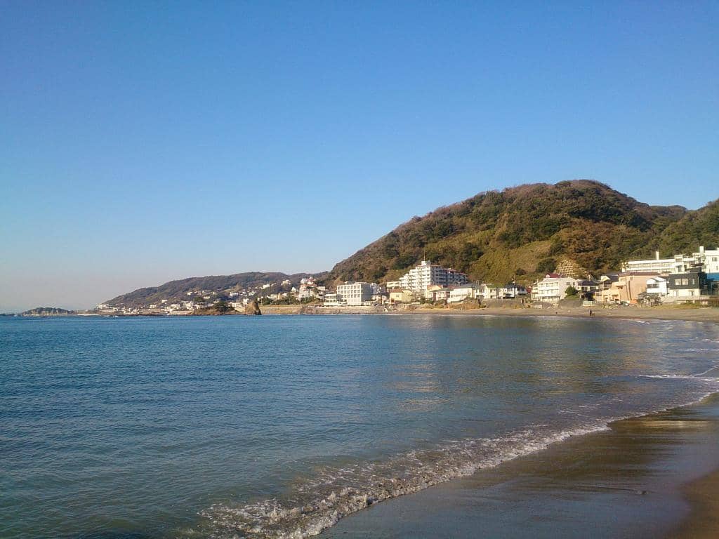 Tateishi Park Views