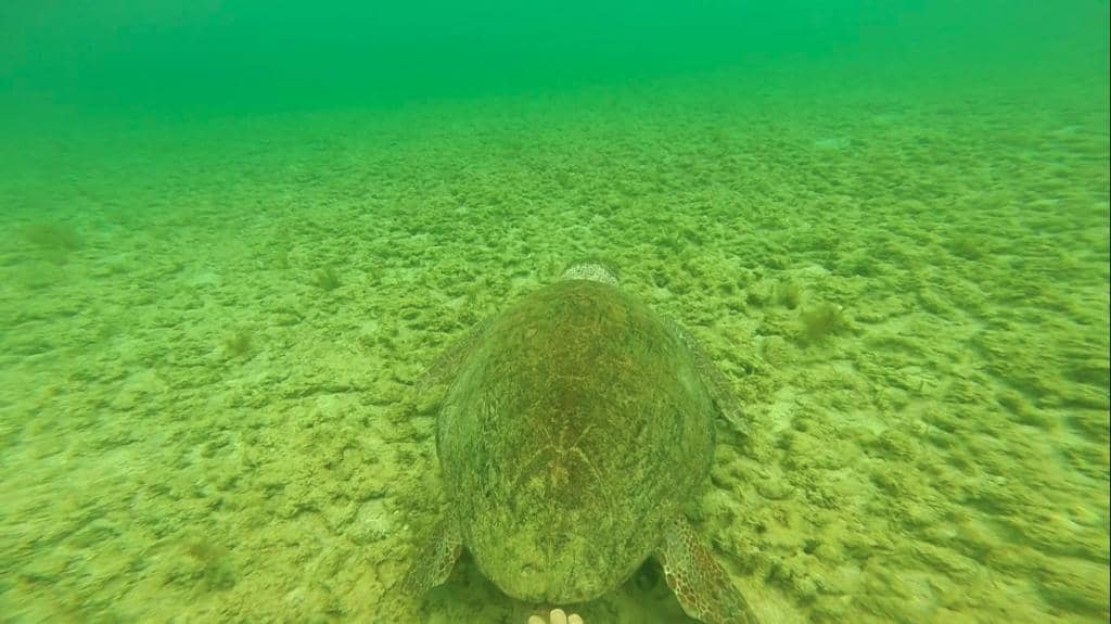 Proximity to Attractions