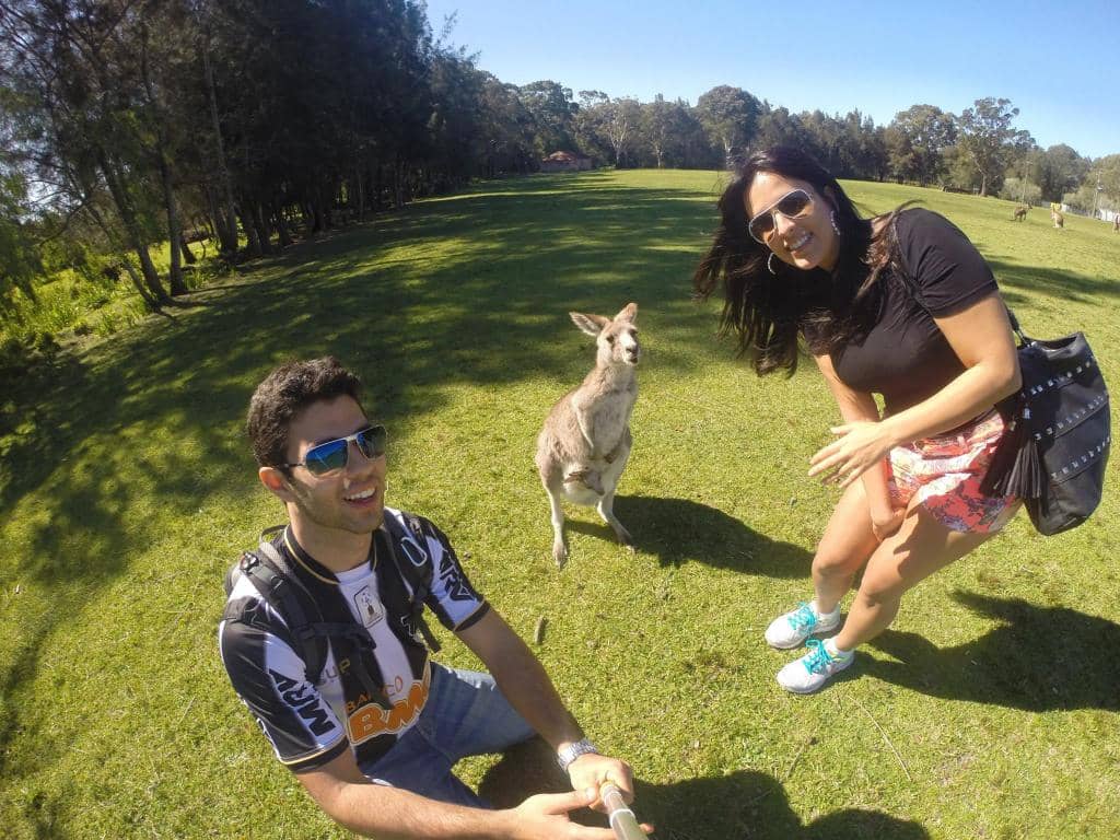 Blue-Ringed Octopus Habitat