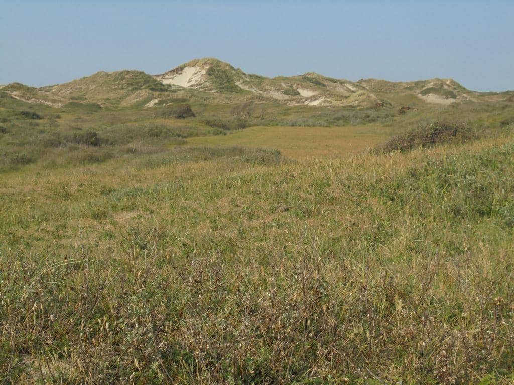 Panoramic Dune Views