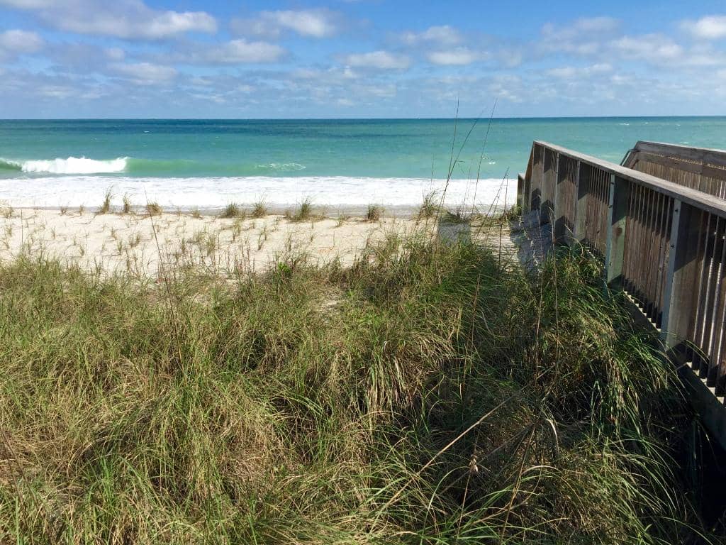 Sea Turtle Nesting Grounds