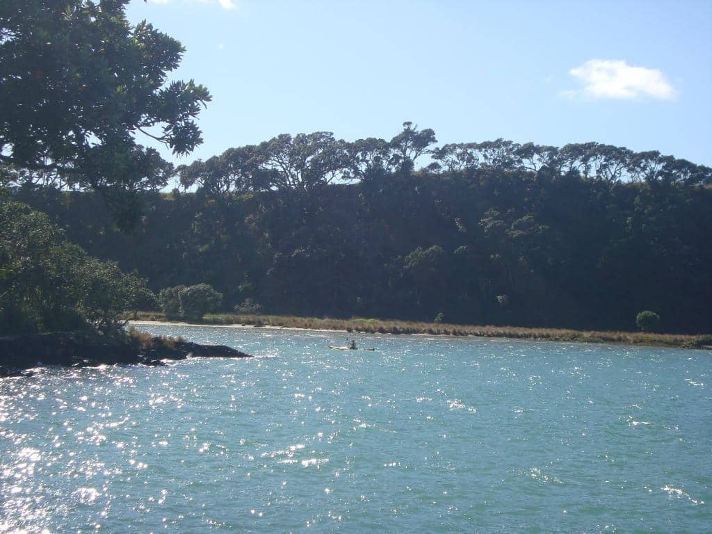 Rangitoto to Motutapu Walk