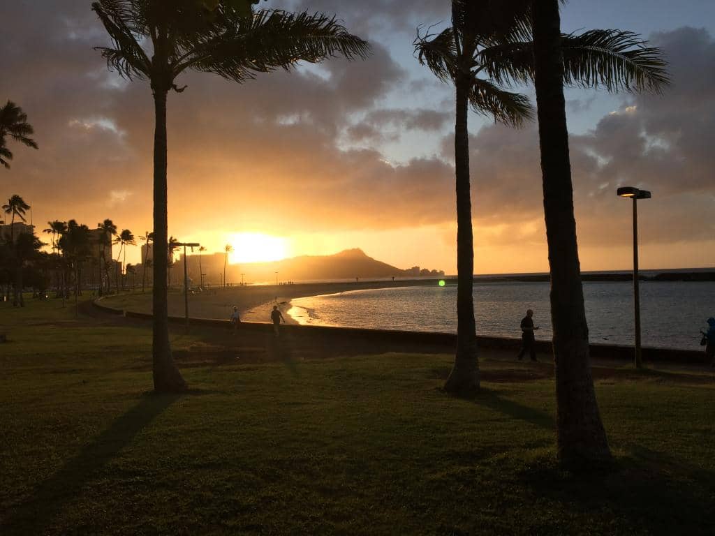 Picnic & Relaxation Spots