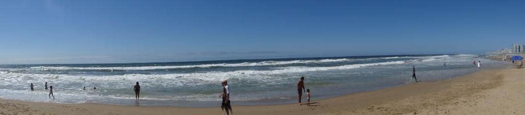 Surfing Paradise