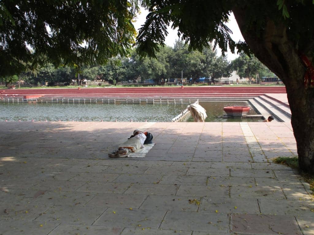 Peaceful Promenade