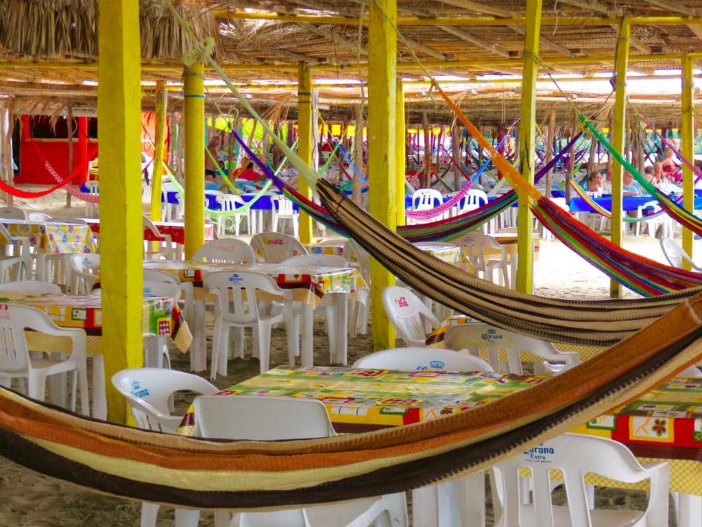 Biodiversity Education