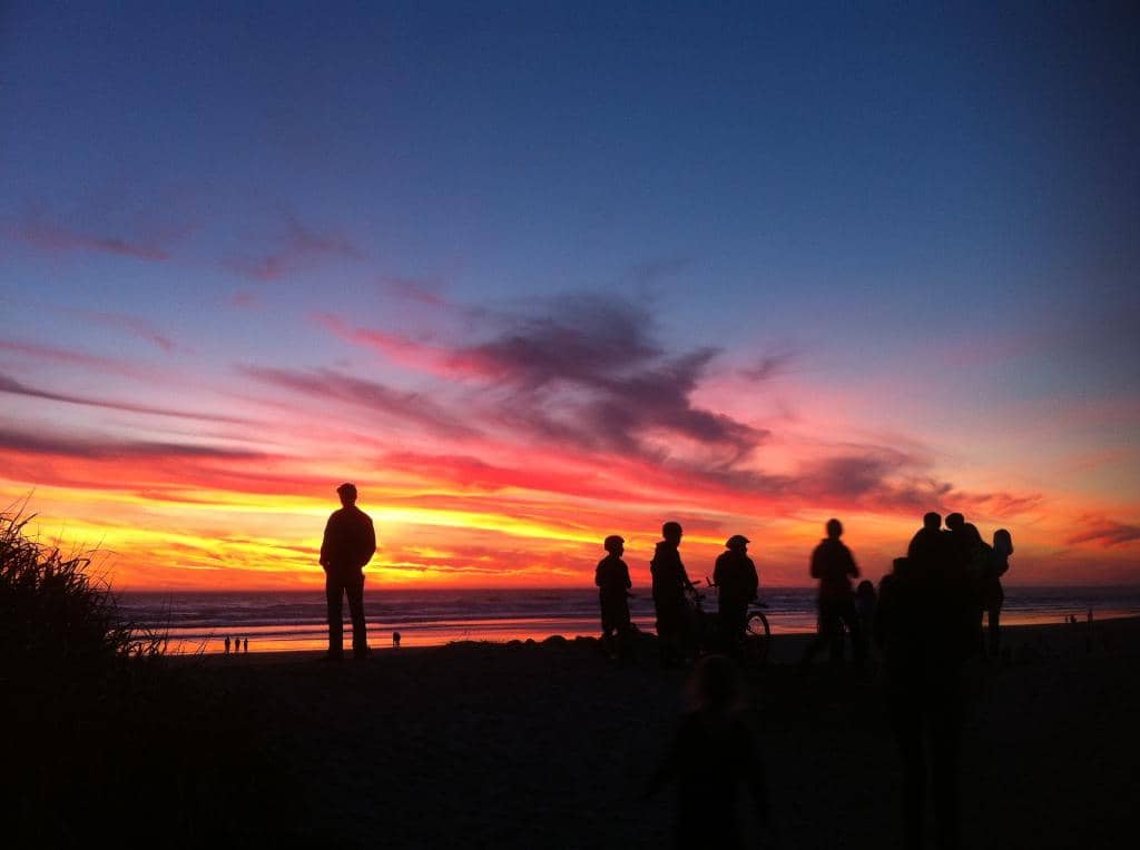 Forest & Coastal Scenery