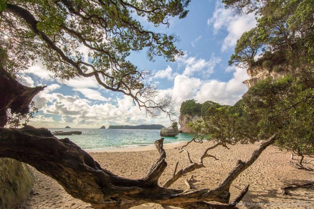 Stunning Coastal Views