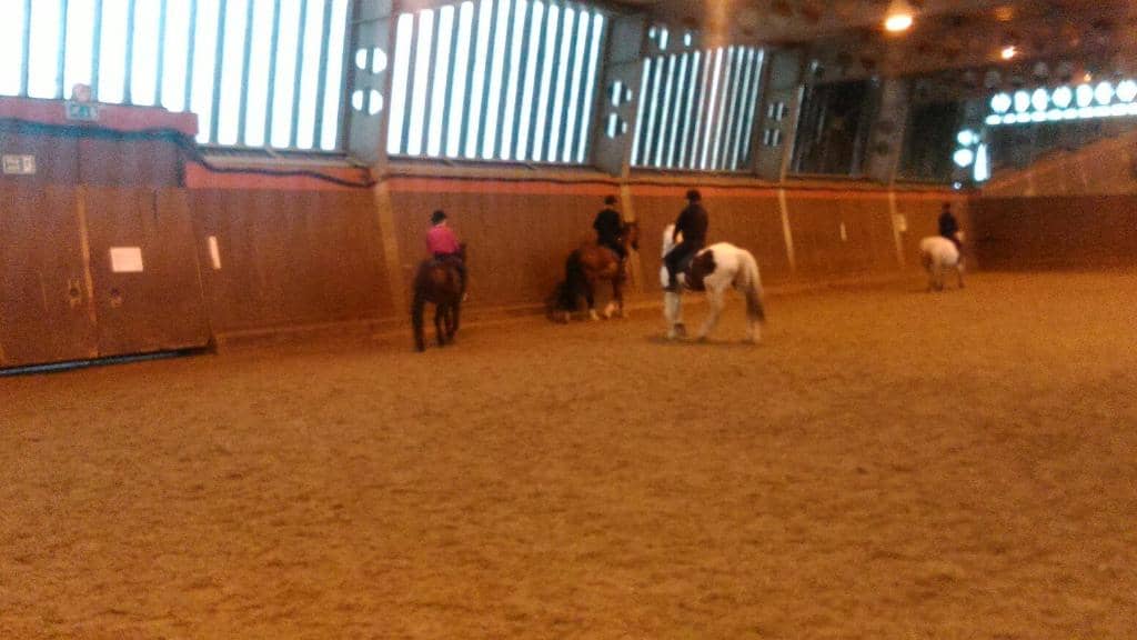 Scenic Horseback Rides