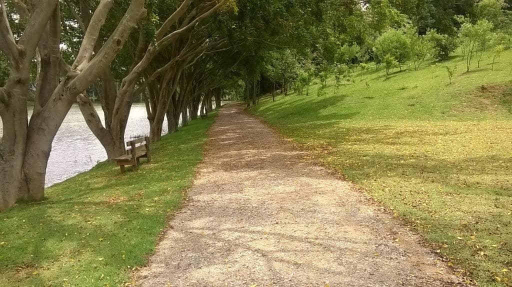 Expansive Green Spaces