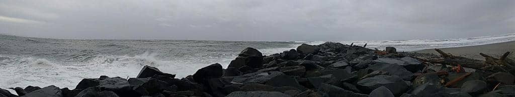 Tide Pool Exploration