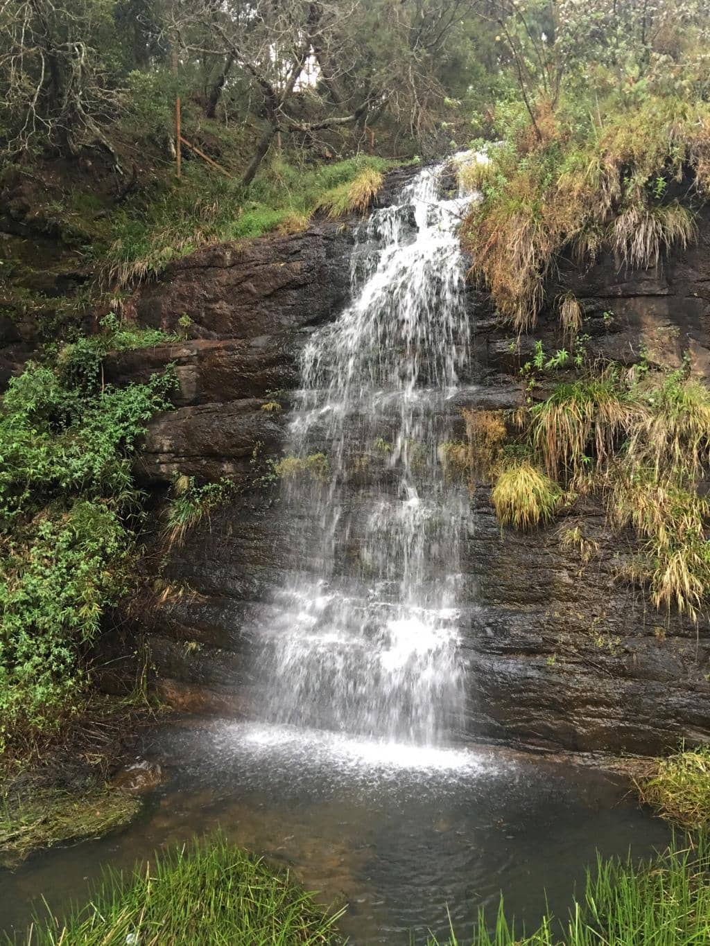 Peaceful Observation Bridge
