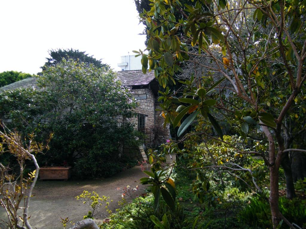 Larkin House Gardens