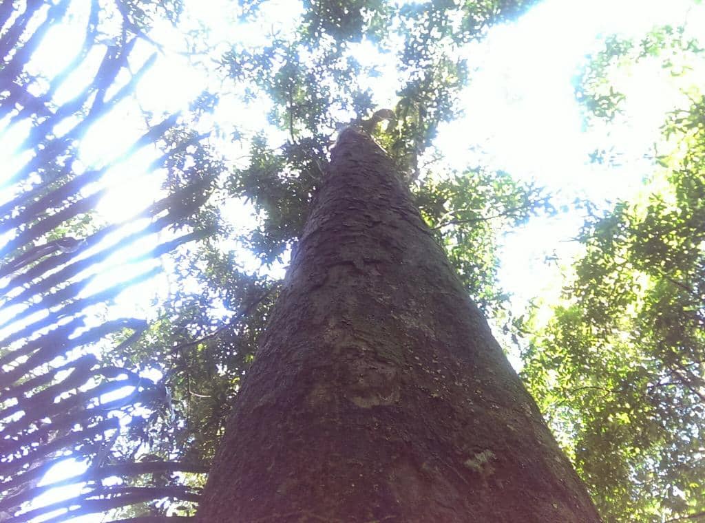 Vertical photo