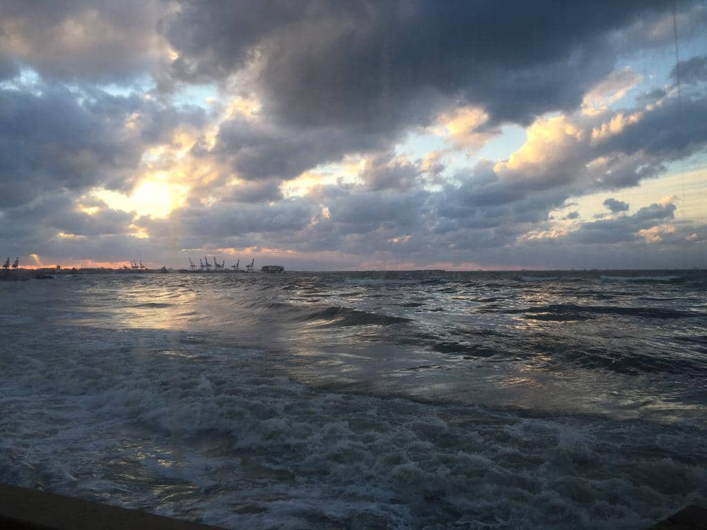 Fresh and Flavorful Seafood