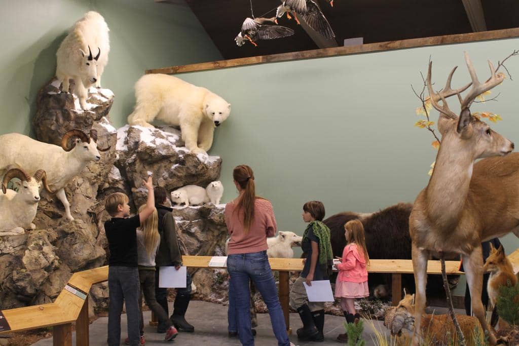 Birds of Prey Exhibit