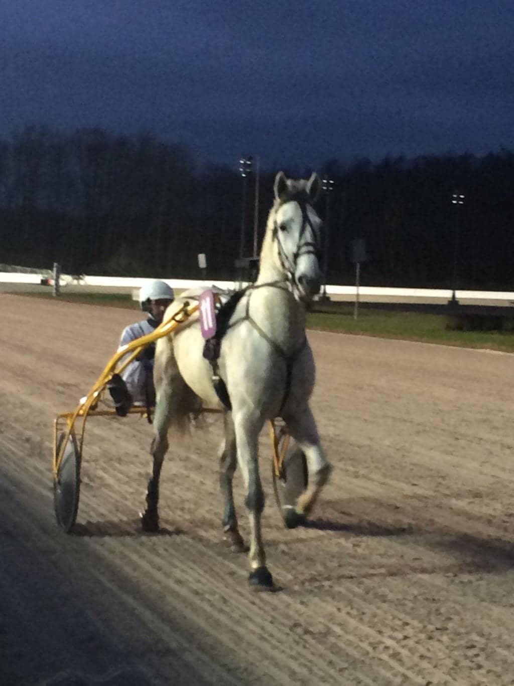 Concert & Event Venue