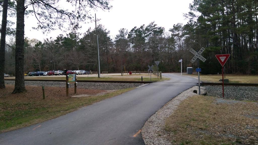 Rainforest Immersion