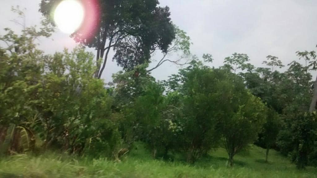 Regional Folklore and Traditions