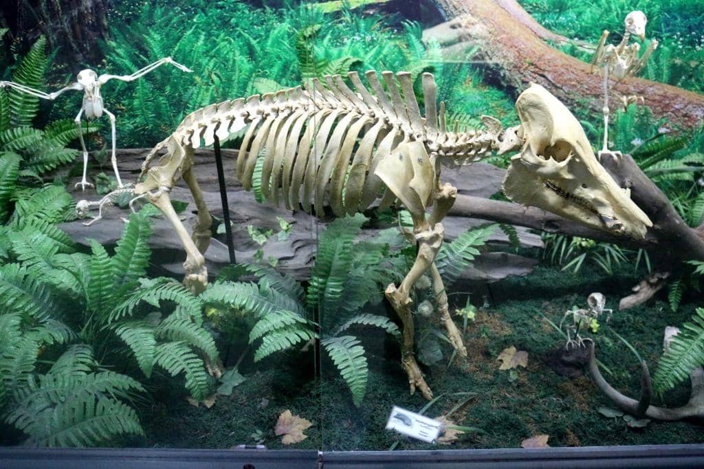 Educational Guided Tours