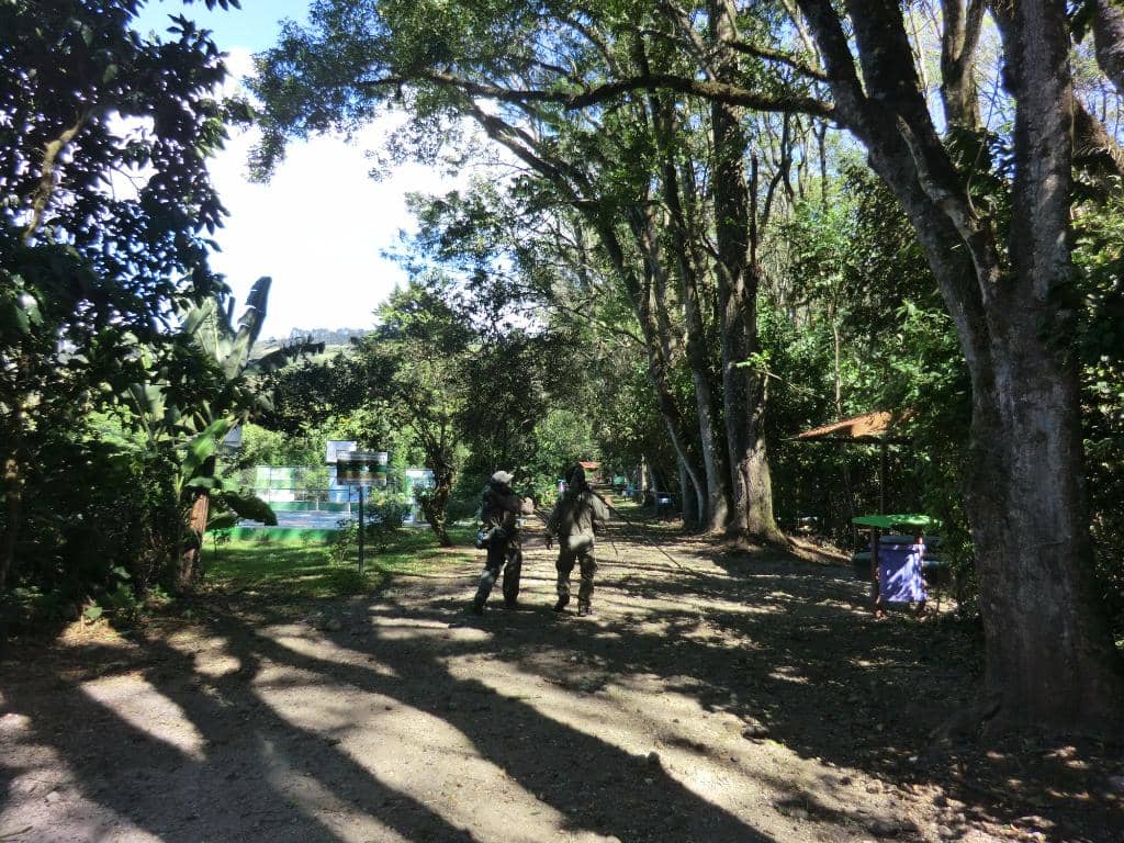 Panoramic Observation Tower