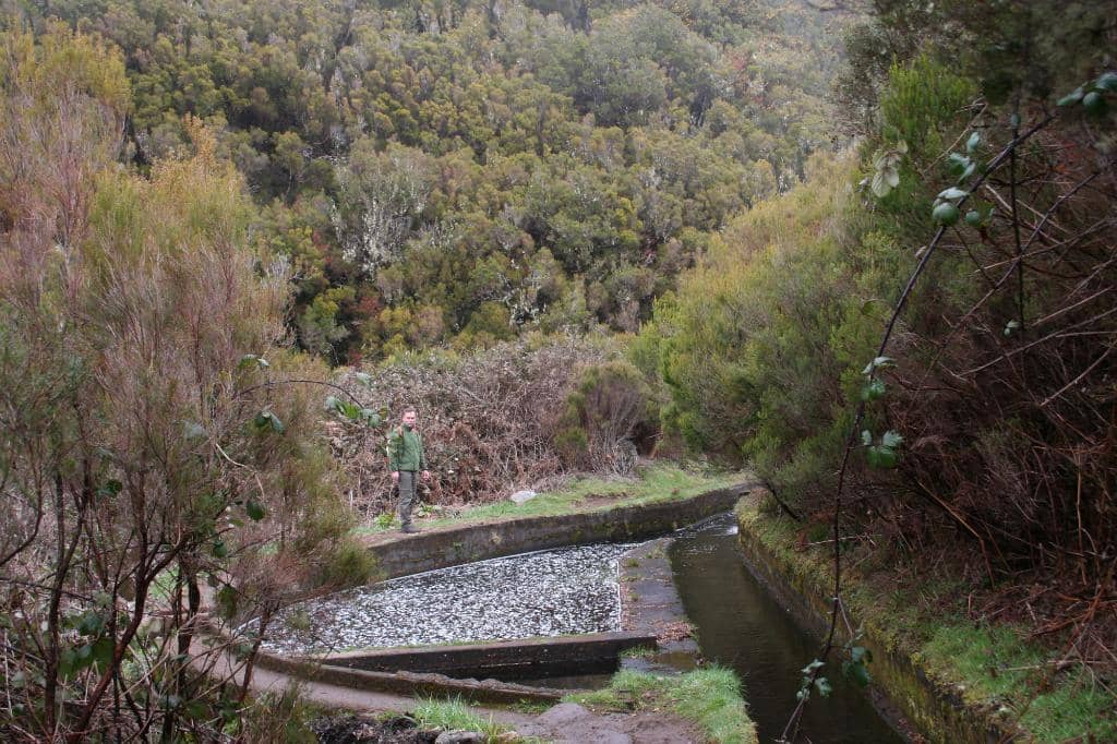 The Serene Levada Path
