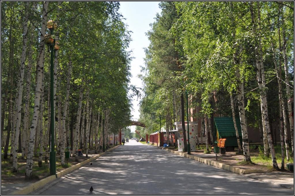 Green Oasis & Apple Trees