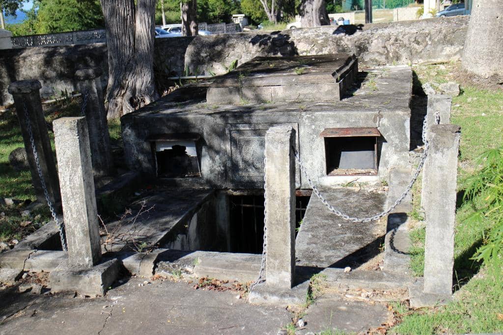 Live Music Performances