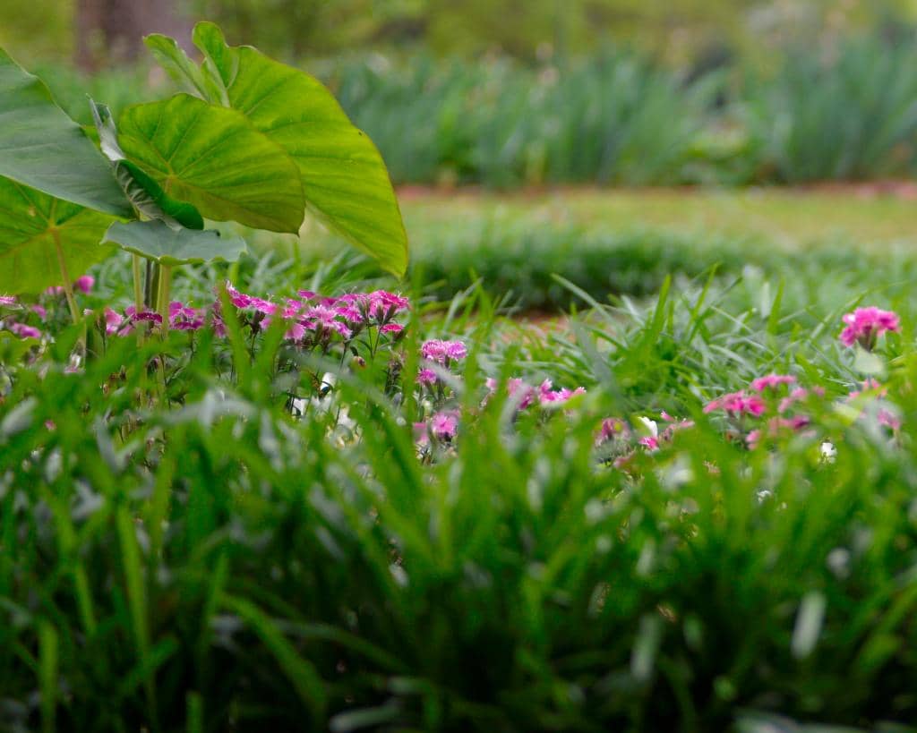Halloween Ghost Tours