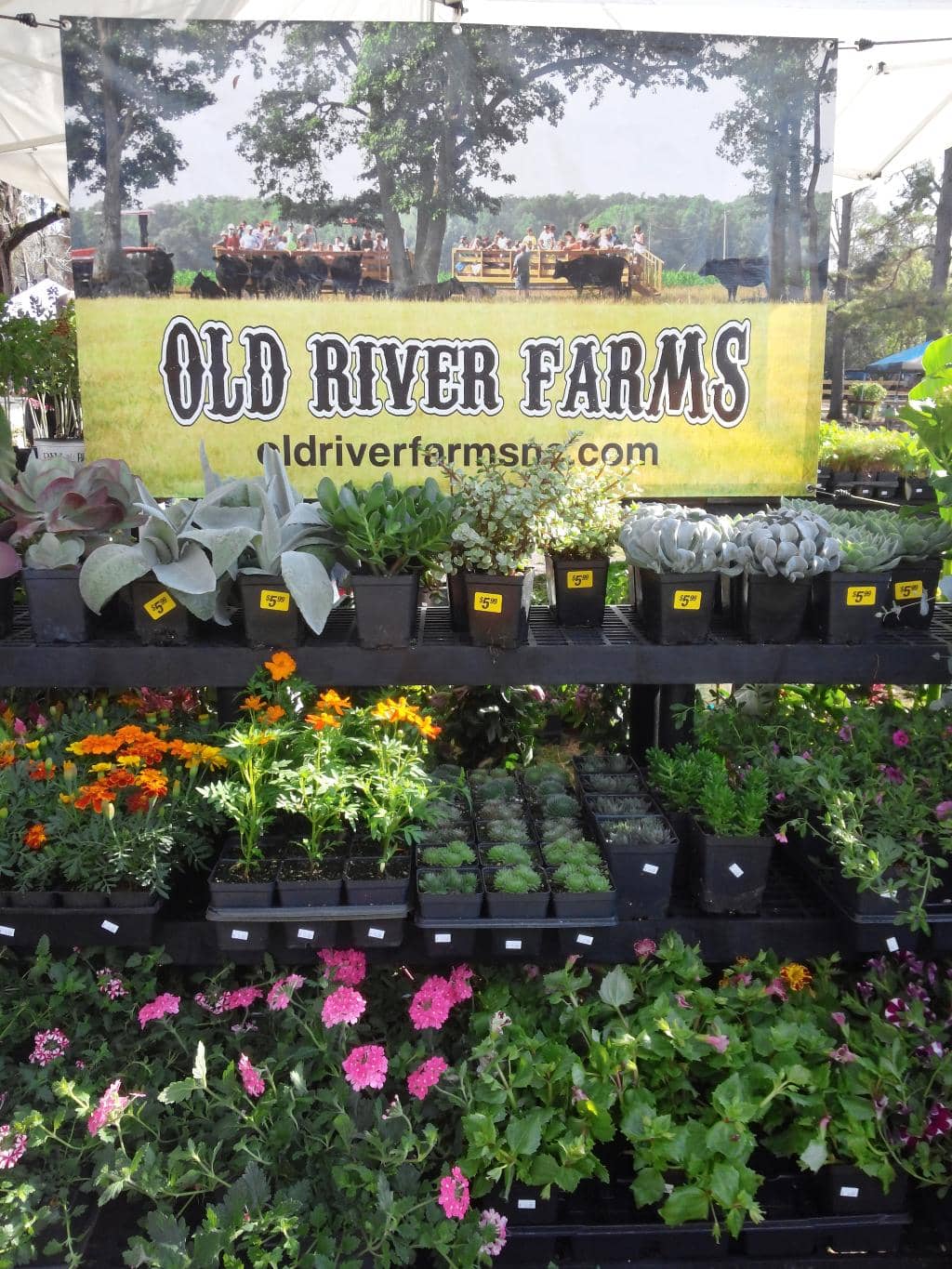 Historic Manor House Tour