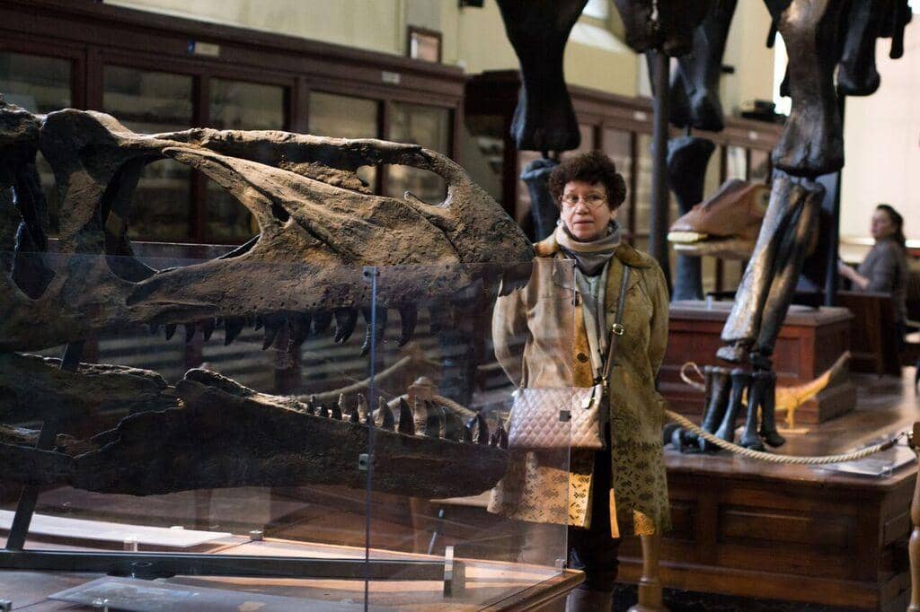 Cabinet of Curiosities Vibe