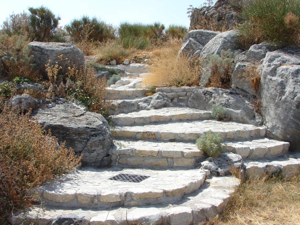 Vertical photo