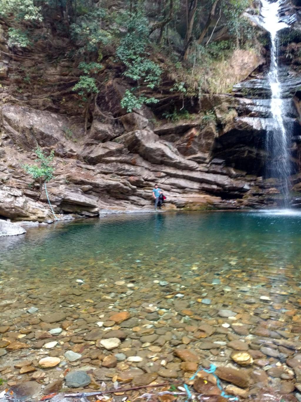 Jungle Trek Adventure