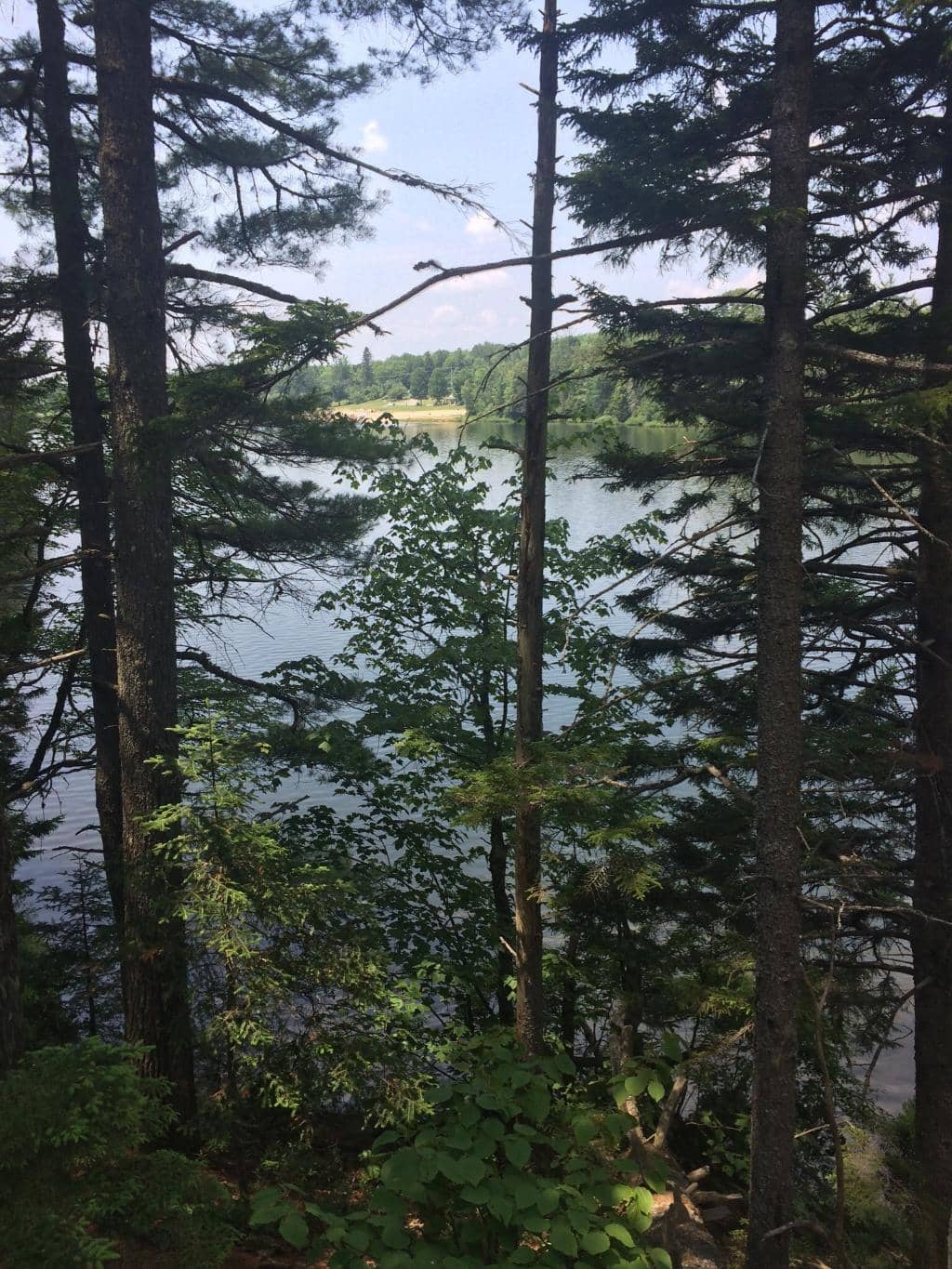 Lake Loop Trail