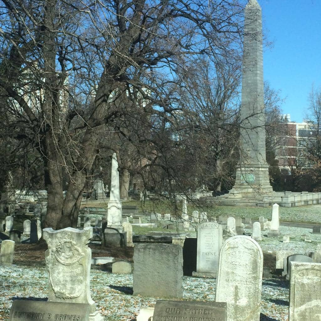 Unique Specimen Trees