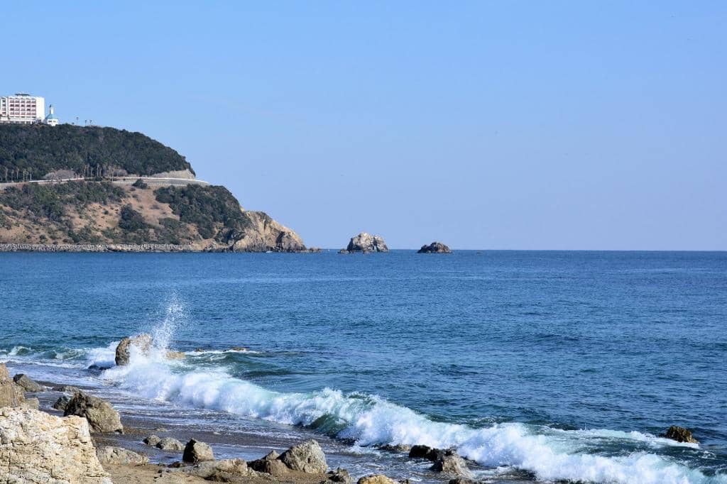 Sunflower Fields (Seasonal)
